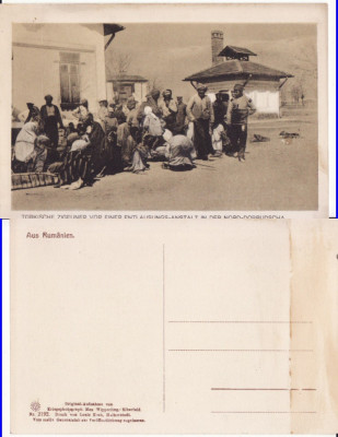 Dobrogea, Constanta - Tigani turci-militara, WWI, WK1 foto
