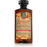 Farmona Jantar High Porosity Hair sampon hranitor pentru un par stralucitor si catifelat 330 ml