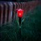 Lampa solara lalea LED - galben / rosu / roz - 31 cm Best CarHome