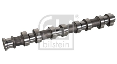FEBI BILSTEIN 180725 Ax cu came foto