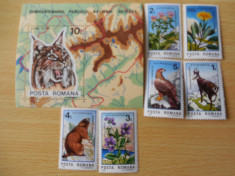 Serie timbre romanesti animale fauna nestampilate Romania MNH foto