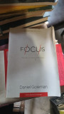 FOCUS , MOTIVATIA ASCUNSA A PERFORMANTEI DE DANIEL GOLEMAN