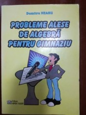 Probleme alese de algebra pentru gimnaziu- Dumitru Neagu foto