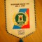 M3 C7B - Tematica sport - Sah - Turneul femini Harcov - Federatia rusa - 2000