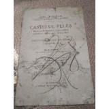 B. Castelul Peles 1924