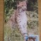 C12 - maxima - tematica animale 8 - prima zi a emisiunii sau expozitii