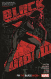 Black Widow - Volume 2 | Kelly Thompson, Marvel Comics