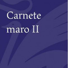 Carnete maro 2 - Aurel Dumitrascu