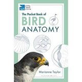 RSPB Pocket Book of Bird Anatomy