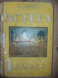 Acteea- A. Dumas Editura: Contemporana