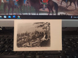 Vederea panoramică de pe st&acirc;ncile schitului Sihlea, județul Neamț, c. 1900, 205, Necirculata, Printata