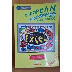 European computer driving licence. Calcul Tabelar, Modul 4 excel