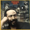 Vinil LP Japan Press Marvin Gaye - Dream Of A Lifetime (NM/NM) Obi Insert, Editie Rara, Sunet de Top
