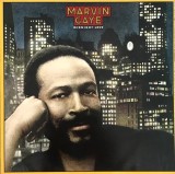 Vinil LP Marvin Gaye &ndash; Midnight Love (VG)