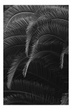 Tablou Canvas Umbrele Dansatoare ale Naturii Liniștite, 26 x 39 cm, CMCLASS