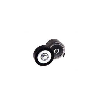 Intinzator curea CHRYSLER PT CRUISER PT DAYCO APV2490 foto