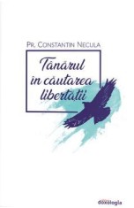 Tanarul in cautarea libertatii - Constantin Necula