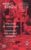 Pravaliile de scortisoara. Sanatoriul sub semnul clepsidrei - Bruno Schulz
