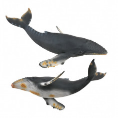 Figurina Balena cu cocoasa Collecta, 22 cm, 3 ani+
