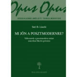 Mi j&ouml;n a posztmodernre? - V&aacute;ltozatok a posztmodern ut&aacute;ni amerikai fikci&oacute;s pr&oacute;z&aacute;ra - S&aacute;ri B. L&aacute;szl&oacute;