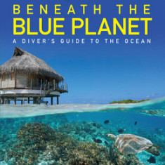 Beneath the Blue Planet: A Diver's Guide to the Ocean and Its Conservation