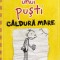 Jeff Kinney - Jurnalul unui pusti. Caldura mare