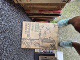 Balzac Beatrix vintage