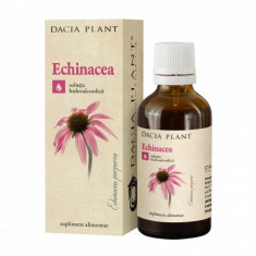 Tinctura Echinacea Dacia Plant 50ml