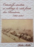 Catrastofe, atentate si sabotaje la caile ferate din Romania (1860-1980) - Radu Bellu