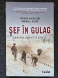 SEF IN GULAG - Mociulski, Kaple