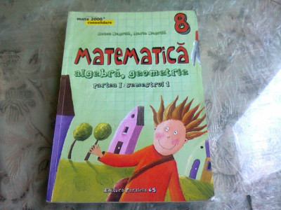 MATEMATICA - ANTON NEGRILA foto