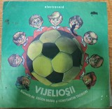 Disc Vinil Eugen Barbu Și Constantin Teodori - Vijelioșii-Electrecord-EXE 02762