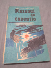PLUTONUL DE EXECUTIE-ECATERINA MATACHE foto