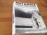 Cumpara ieftin METANOIA/ PESTELE PESTE POARTA- PAUL NEAGU COMENTAT, DESENAT DE SORIN DUMITRESCU