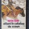 OLTENI IN CETATEA DE SCAUN - Marian Vasile