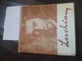 carte Luchian Pb+
