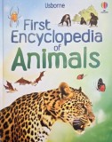 Enciclopedie Animale First Usborne Carte Paul Dowswell Noua Stare Buna