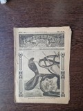 Ziarul Științelor Populare și al Călătoriilor - nr 27/1916 -