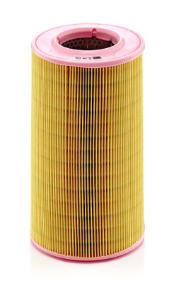 MANN-FILTER C 14 176 Filtru aer foto