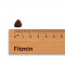 Foto  - 2
