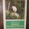 Păsările din Delata Dunării - Dimitrie Radu