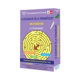 A sz&aacute;mok &eacute;s a term&eacute;szet - Rejtv&eacute;nyek 4-7 &eacute;veseknek