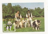 CA8 - Carte Postala -Expo Canina 1982-Ciobanesc carpatin si mioritic,Necirculata