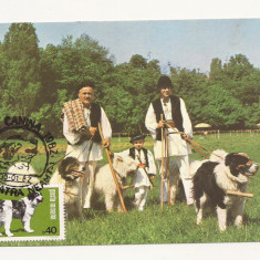 CA8 - Carte Postala -Expo Canina 1982-Ciobanesc carpatin si mioritic,Necirculata