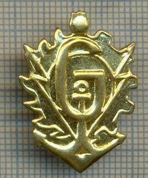Y 1795 INSIGNA - MILITARA -SEMN DE ARMA - GENIU -PENTRU COLECTIONARI foto
