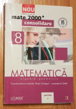 Matematica clasa VIII Partea I de Anton si Maria Negrila, Clasa 8