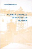 SCURTA CRONICA A BANATULUI MONTAN-GEORG HROMADKA-267111