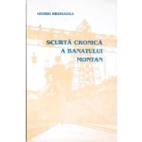 SCURTA CRONICA A BANATULUI MONTAN-GEORG HROMADKA-267111