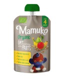 Porridge de Ovaz cu Fructe Eco 100 grame Mamuko