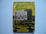 Traditii ale ospitalitatii romanesti. Prin hanurile Iasilor - C. Botez, A.Pricop, 1989, Alta editura